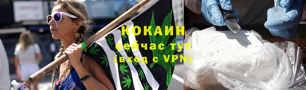 крисы Верхний Тагил