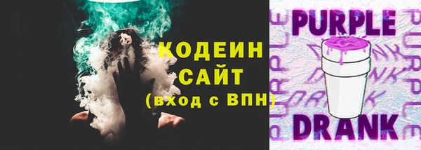 крисы Верхний Тагил
