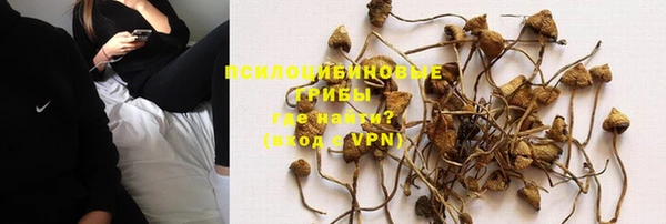 крисы Верхний Тагил