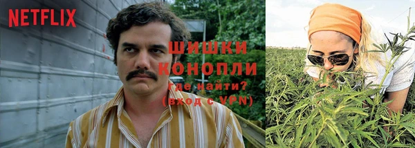 крисы Верхний Тагил