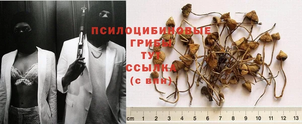 крисы Верхний Тагил